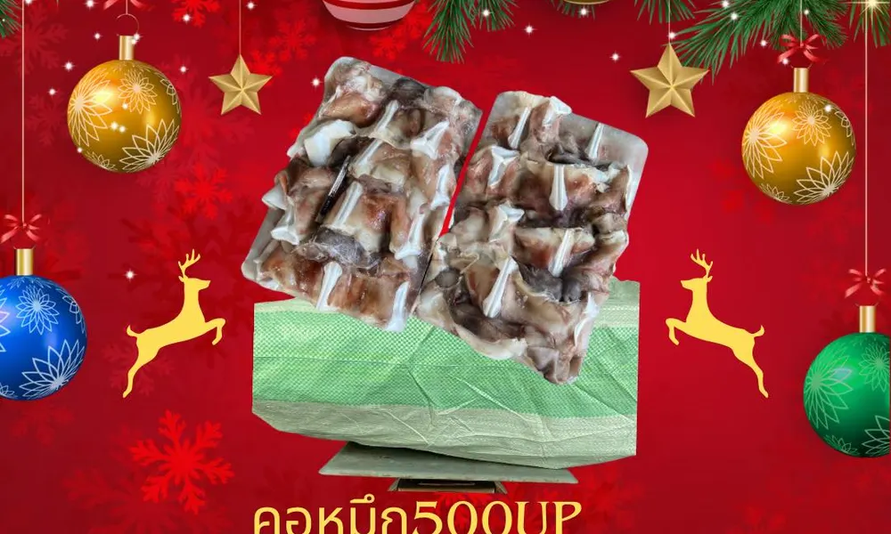🐙 ปลาหมึก 500UP พร้อมจำหน่ายแล้ว